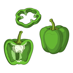 Green pepper, half a pepper and a slice, isolated on a white background. Vector illustration of vegetables in cartoon style.