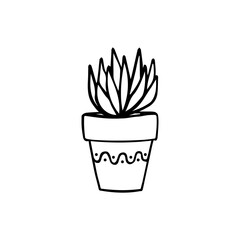 Potted flower doodle hand drawn outline icon or symbol. Decorative potted house plant sketch