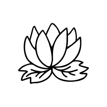 Doodle Water lily or lotus vector illustration. Floral decorative element for logo, icon, print. Line art lotus.
