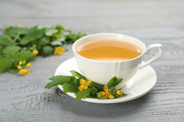 Cup of aromatic celandine tea and flowers on grey wooden table, closeup