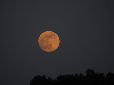 Super Flower Moon Of May