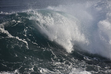 the perfect wave and tube for surfing