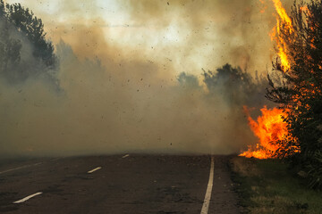 Wild fire flames near the road