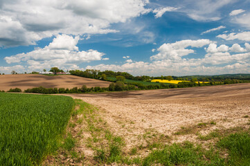wiosenne zaorane pola z błękitnym niebem i białymi chmurami