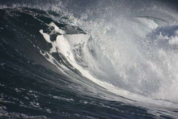 the perfect wave and tube for surfing