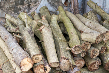 Closeup of a pile of dry firewood for boiler