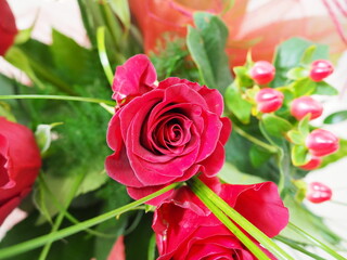 bukiet czerwonych róż © Marcin