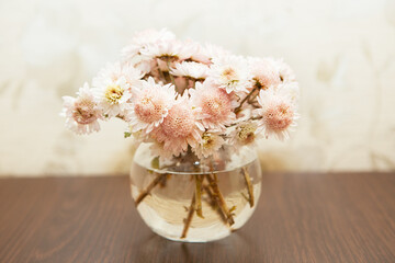 Light pink chrysanthemums flowers in vase on the table, card with bouquet 