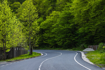 Long winding road that runs along a country road and goes into the forest