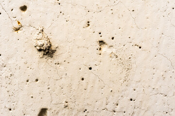 Cracked concrete wall