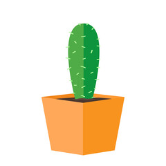 Cactus cartoon vector. Cactus on white background.