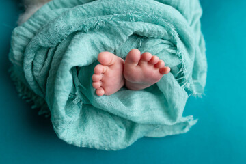 feet of a newborn baby. feet on a mint background. baby feet