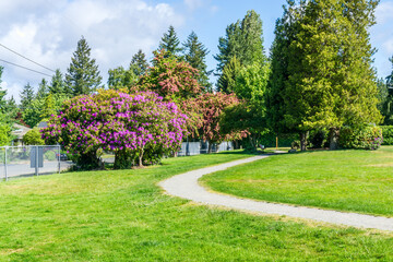 Park Path And Flowers