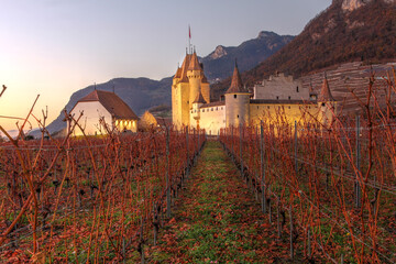 Chateau d'Aigle in autumn, Switzerland