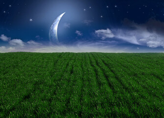 Fabulous sky with rising crescent over a green field
