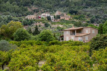 Binibassí, Soller valley route, Mallorca, Balearic Islands, Spain