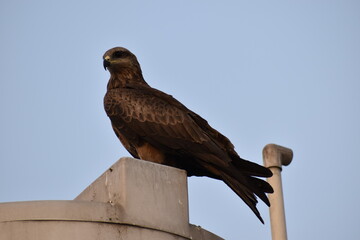 photos that makes happy