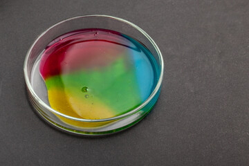 Petri dishe with a colored liquids on black background with copy space. 