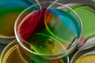 Petri dishes with a colored liquids on black background close-up. 