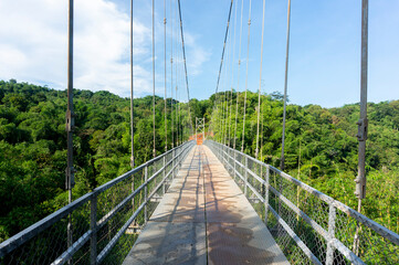 Fototapeta na wymiar Suspension bridge with views of green forest and blue sky
