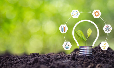 Light bulb with science biology connections concept on circle web.  Ecological friendly and...