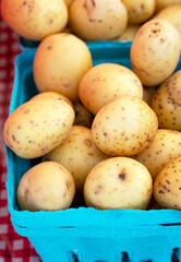 small white potatoes in blue container on red and white checked tablecloth, close up