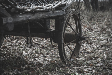 Fototapeta na wymiar Old wheel of an abandoned wooden cart. Gray vintage wooden transport.