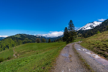 Mountain tour along the Alpenfreiheit premium trail near Oberstaufen