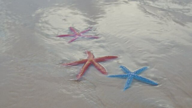 Soft waves crashing colorful starfish at Karon Beach, Phuket Thailand..high quality 4k. sandy beach background.
