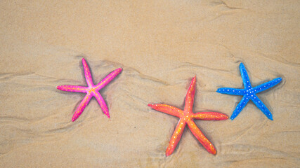Fototapeta na wymiar .Top view Colorful starfish on the sandy beach at Karon Beach, Phuket..Three starfish sandy beach background..
