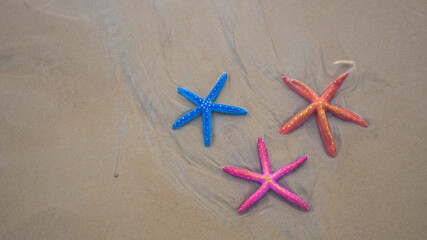 Fototapeta na wymiar .Top view Colorful starfish on the sandy beach at Karon Beach, Phuket..Three starfish sandy beach background..