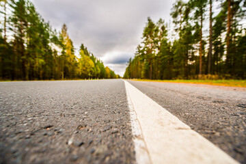 Autumn on the country road, yellowed foliage of trees near the roadside. View from the level of the dividing line