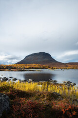 Beautiful autumn landscape with spectacular mountain lake and colorful yellow larches in Lapland, Kilpisjarvi