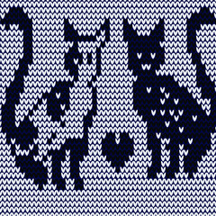 black and white cats