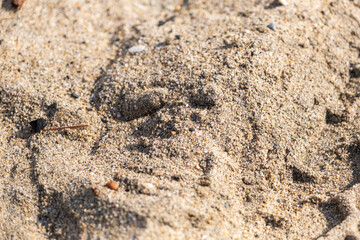 California Beach