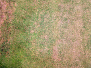 Overhead grass shot. Artificial texture. Grass texture. Drone grass shot.