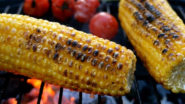 Burnt golden color corn cob with cherry tomato is fried on grill or barbecue grate with smoke and flame. Picnic or party in nature. Summer weekend with healthy vegetarian food concept.