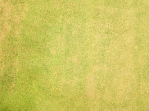 Overhead grass shot. Artificial texture. Grass texture. Drone grass shot.