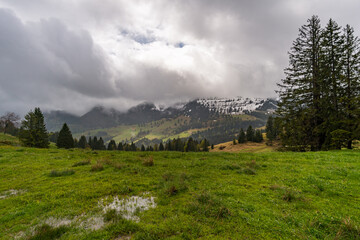 Mountain tour along the Alpenfreiheit premium trail near Oberstaufen