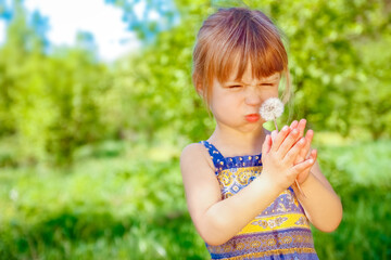 happy child blowing dandelion on nature in the park