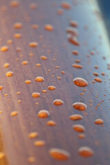 Wassertropfen auf Holzreling