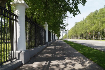 alley in the park