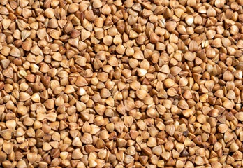 buckwheat. fresh buckwheat. dry buckwheat background.