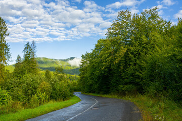 Fototapeta na wymiar country road through forest in mountains. beautiful fresh morning in early autumn. path winding in to the distance. wet asphalt. cloud on the distant summit. travel backcountry concept