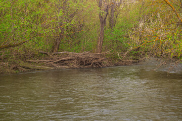 nature of Russia spring river