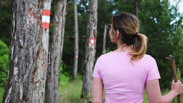 Hiker in the forest on a hiking trail