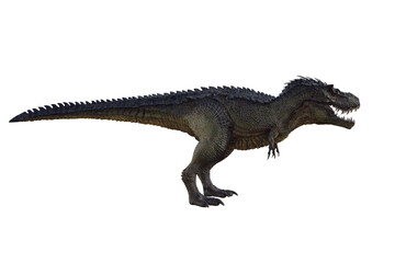 tyrannosaurus rex, in different poses for better adaptation to your collagen. 3d illustration, 3d rendering.