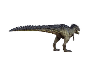 tyrannosaurus rex, in different poses for better adaptation to your collagen. 3d illustration, 3d rendering.