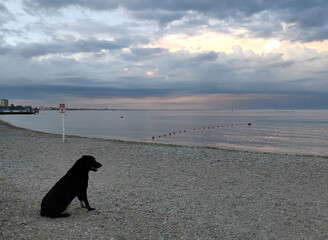 Crimean peninsula. The city of Feodosia. View of the Black Sea.