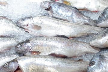 Fresh sea fish lies in the ice. Food products